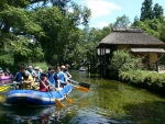 Clear Bottom Boat Ride by the Wasabi Farm River